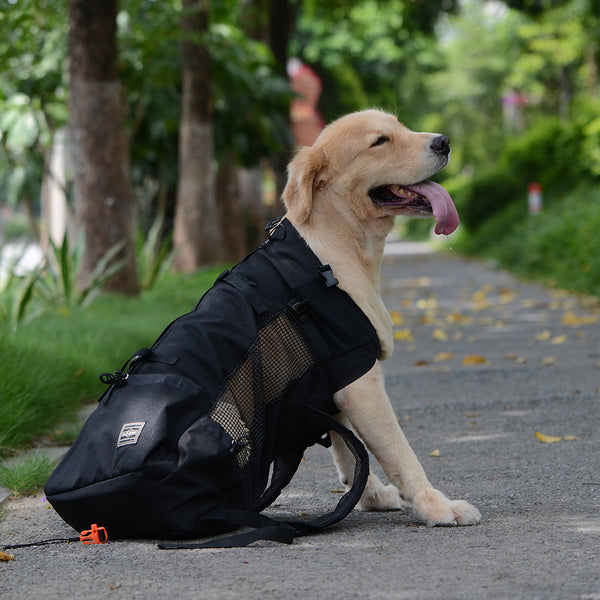 Dog Pet Shoulder Passenger Backpack Dog Outdoor Bag